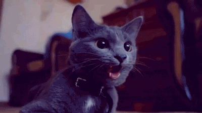 Daily GIFs Mix, part 132