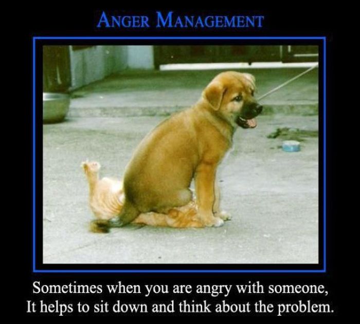 Funny Demotivational Posters, part 122