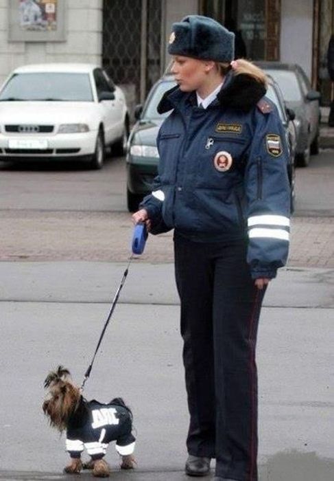 Interesting, Awkward and Funny Photos from Russia