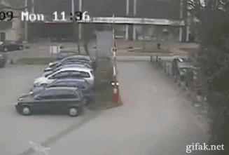 Daily GIFs Mix, part 136
