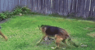 Daily GIFs Mix, part 142