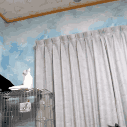 Daily GIFs Mix, part 142