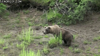 Daily GIFs Mix, part 143