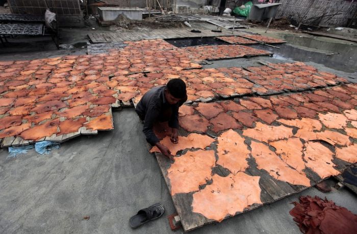 Leather Production in Bangladesh