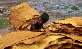 Leather Production in Bangladesh