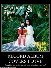 Bizarre Record Album Covers