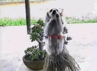 Daily GIFs Mix, part 145