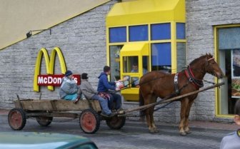 The Most Unusual Drive-Thru Customers