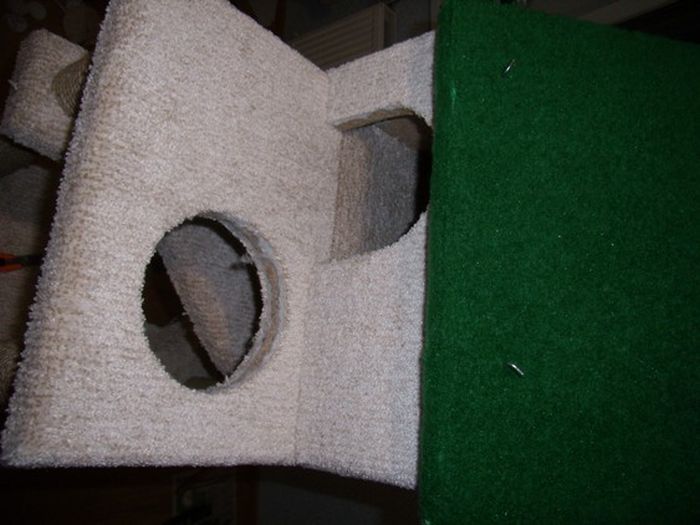 DIY Cat House