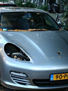 Thieves Are Stealing Porsche Headlights