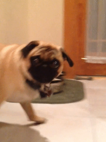 Daily GIFs Mix, part 151