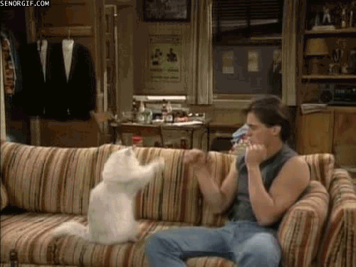 Daily GIFs Mix, part 151