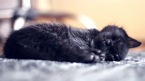 Daily GIFs Mix, part 154