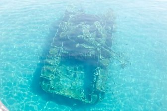 Amazing Artificial Reefs 