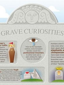 Facts About Graves and Cementry