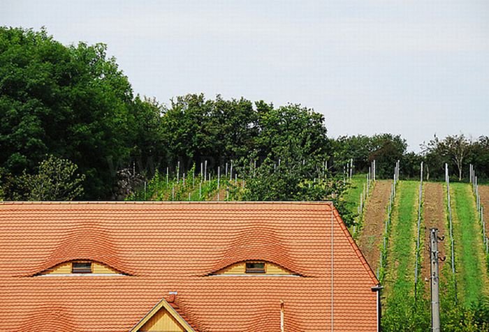 Buildings That Look Like Faces 