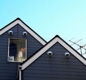 Buildings That Look Like Faces 