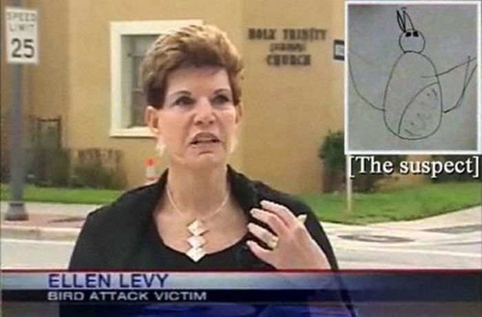 Funny TV News Moments