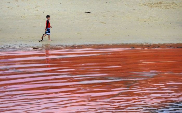 Red Beaches in Sydney, Australia