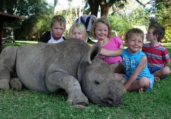 Pet Rhino