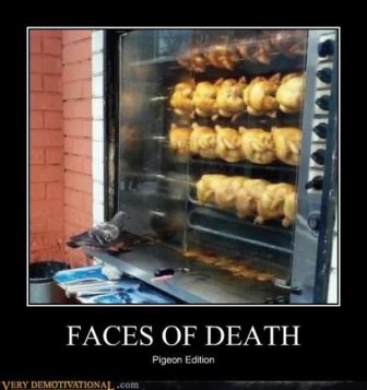 Funny Demotivational Posters