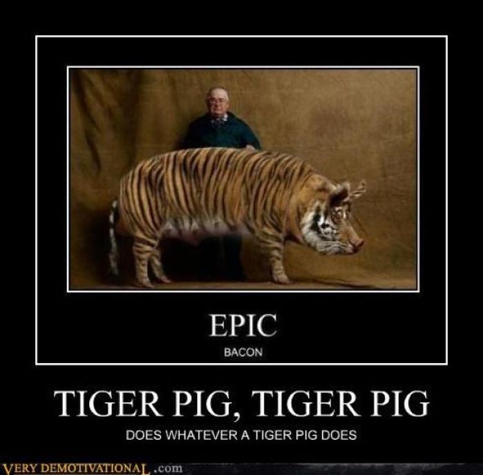 Funny Demotivational Posters, part 145