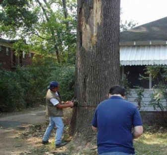 Tree Cutting Fail