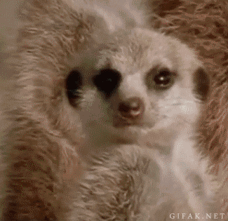 Daily GIFs Mix, part 161
