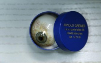 Great Prosthetic Eyes