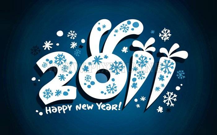 Happy New Year 2011, part 2011