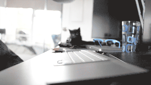 Daily GIFs Mix, part 164