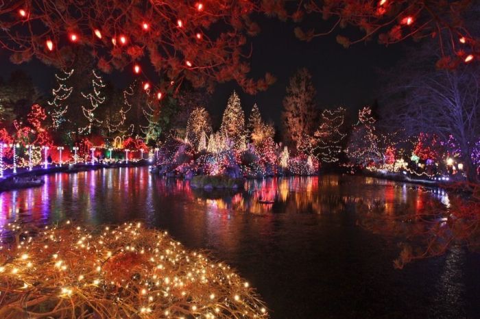 Beautiful Christmas Lights