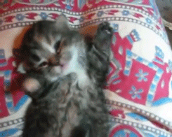 Daily GIFs Mix, part 165