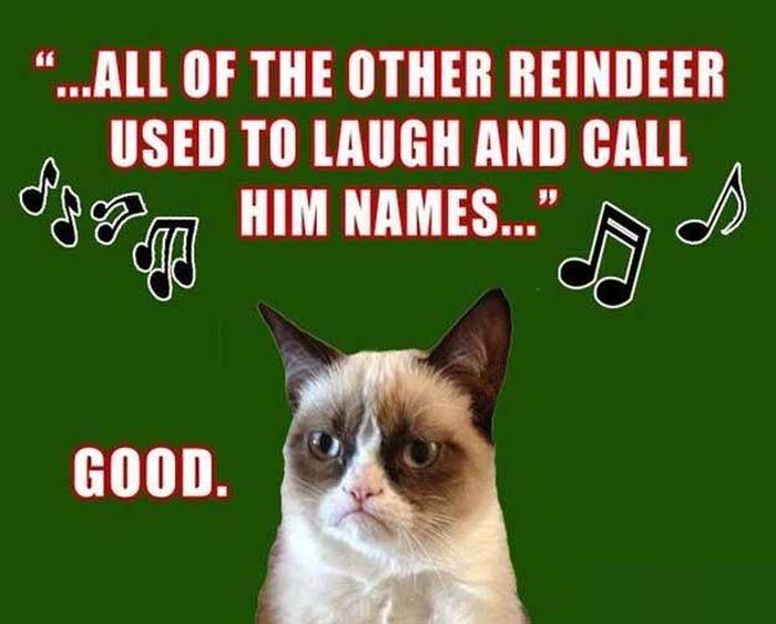 Grumpy Cat Christmas | Fun