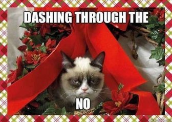 Grumpy Cat Christmas