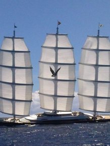  The Maltese Falcon - one of the largest yachts 