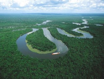 The Beauty of Amazon Forest