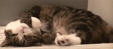 Daily GIFs Mix, part 167