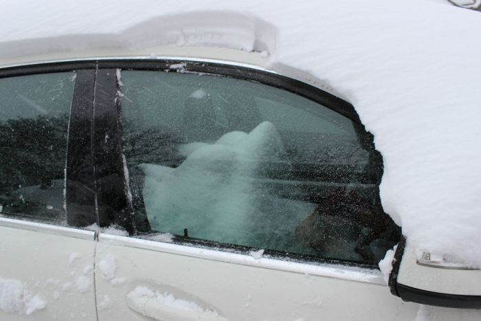 Always Keep Your Car's Sunroof Closed in Winter