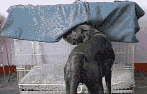 Daily GIFs Mix, part 168