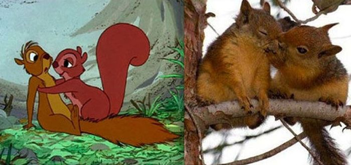 Animals. Animation vs Real Life