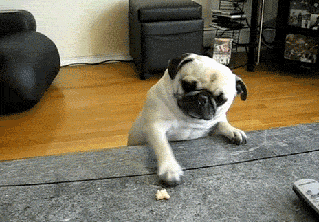 Daily GIFs Mix, part 171