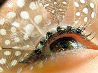 Eyelash Decoration