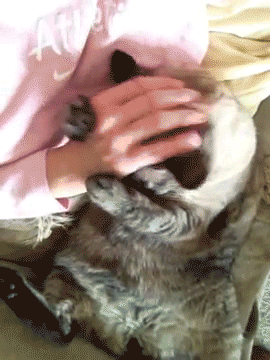 Daily GIFs Mix, part 172