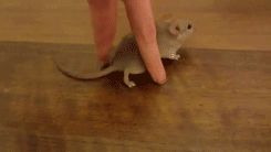 Daily GIFs Mix, part 172