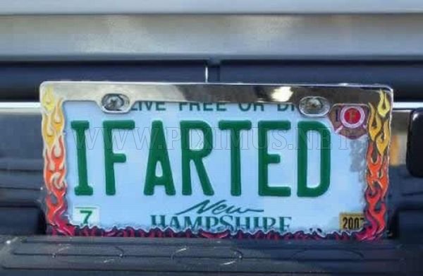 Hilarious License Plates 