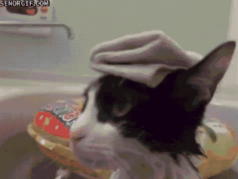 Daily GIFs Mix, part 175