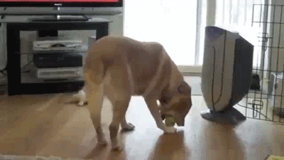 Daily GIFs Mix, part 175