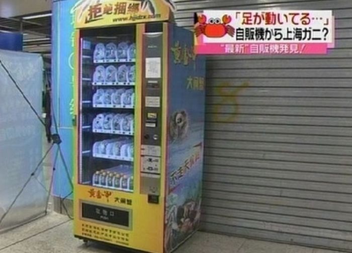The Most Unusual Vending Machines