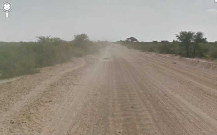 Google Street View Donkey "Accident" in Botswana